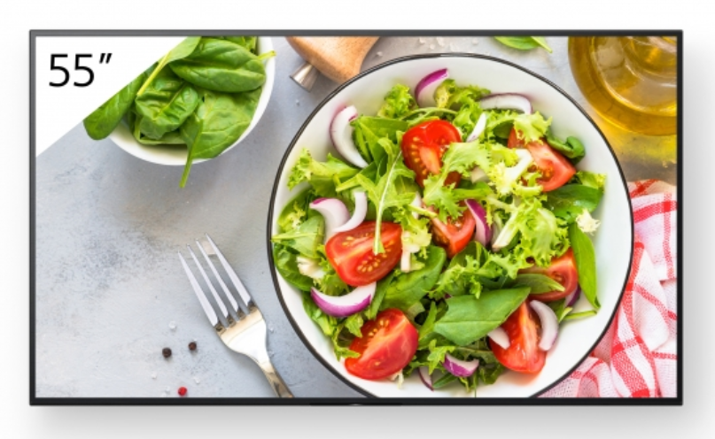 Sony FW-55BZ35L 55 BRAVIA 4K HDR Professional Display