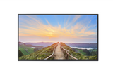 TH-32EF2U 32 Class Full HD Entry-Level Professional Display