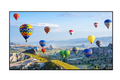 TH-49SQ1WA 49 Class 4K Digital Display