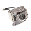 ViewSonic Accessory RLC-125 Projector Replacement Lamp for PG707W