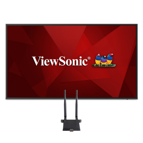 ViewSonic CDE6520-W1 65 4K UHD Presentation Display Bundle with LB-WIFI-001 Wireless Module