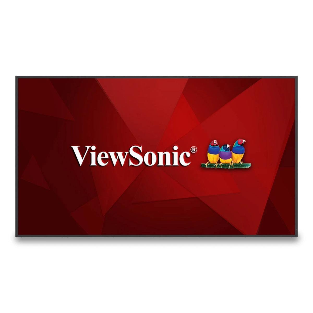 ViewSonic CDE6530-E1 65 4K Display (Wireless Module & Wall Mount Bundle)