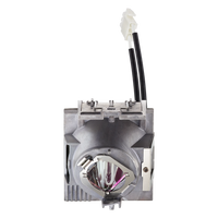 ViewSonic RLC-116 Projector Replacement Lamp for PX700HD and PG700WU 1