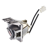 ViewSonic RLC-116 Projector Replacement Lamp for PX700HD and PG700WU