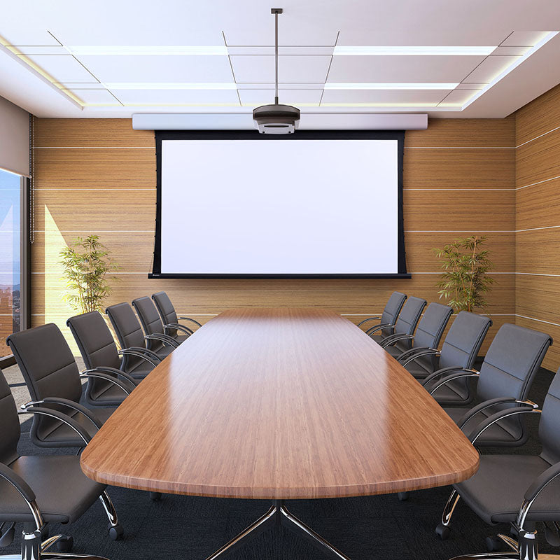Draper Acumen V Electric Screen