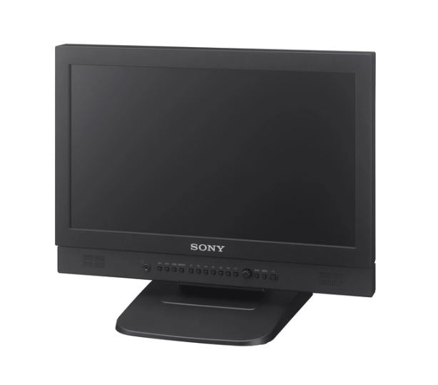 Sony LMD-B170 17-inch cost-effective, lightweight basic grade Full HD –  OfficeWonderland