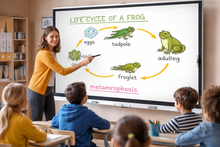 SMARTBOARD MX265-V5 MX Series 65" 4K UHD Interactive Display - OfficeWonderland