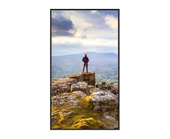 Sharp PN-E659 65" Ultra High Definition Commercial Display