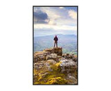 Sharp PN-E659 65" Ultra High Definition Commercial Display