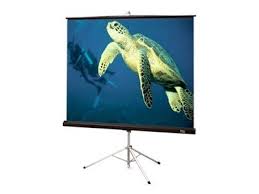 draper-213009-diplomat-tripod-projection-screen-60