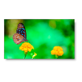 f945b7c83f004498818311f0202b6c53