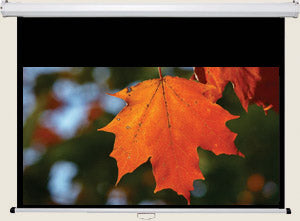 Mustang SC-M92D169 92" Manual Projection Screen