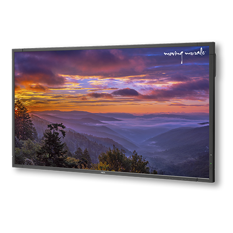 NEC X841UHD 84