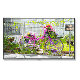 nec-c501-50-thin-depth-commercial-display