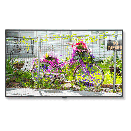 nec-c501-50-thin-depth-commercial-display