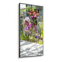nec-c501-50-thin-depth-commercial-display