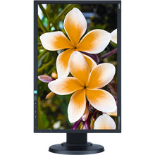 nec-e233wm-bk-23-widescreen-lcd-monitor-nec-e233wm-bk-23-widescreen-lcd-monitor-nec-e233wm-bk-23-widescreen-lcd-monitor