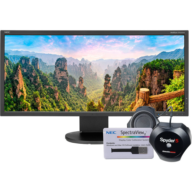 NEC EA295WMI-BK-SV 29