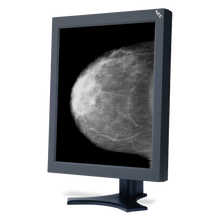 nec-md205mg-1-20-grayscale-5-megapixel-diagnostic-