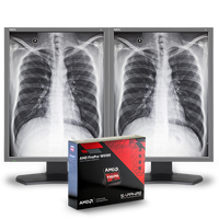 nec-md212g3-21-3mp-medical-diagnostic-monitor-bund