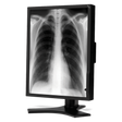 nec-md213mg-21-grayscale-3-megapixel-medical-diagn