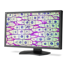 nec-md322c8-315-medical-diagnostic-display-with-le