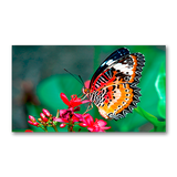 nec-un462va-tmx4p-46-led-backlit-35mm-2x2-video-wa