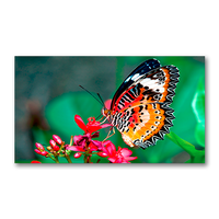 nec-un462va-tmx4p-46-led-backlit-35mm-2x2-video-wa