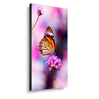 nec-un552vs-tmx9p-55-ultra-narrow-bezel-profession
