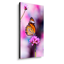 nec-un552vs-tmx9p-55-ultra-narrow-bezel-profession