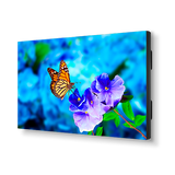 nec-un552vs-tmx9p-55-ultra-narrow-bezel-profession