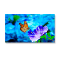 nec-un552vs-tmx9p-55-ultra-narrow-bezel-profession