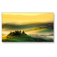 nec-x464un-2-46-led-backlit-ultra-narrow-bezel-pro