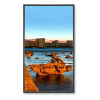 nec-x551uhd-avt2-55-4k-led-backlit-large-format-di