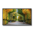 nec-x554hb-55-led-backlit-high-brightness-display