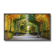 nec-x554hb-55-led-backlit-high-brightness-display