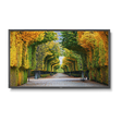 nec-x554hb-55-led-backlit-high-brightness-display