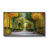 nec-x554hb-55-led-backlit-high-brightness-display
