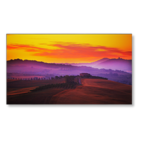 nec-x554unv-55-led-backlit-ultra-narrow-bezel-vide