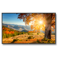 nec-x754hb-75-led-backlit-high-brightness-display