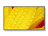 NEC MultiSync® M551-2 LCD 55" Message Large Format Display