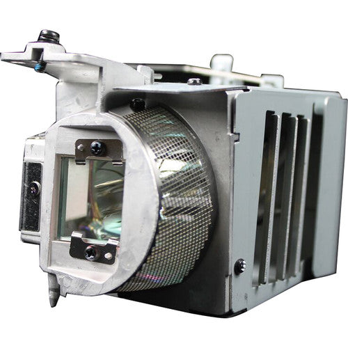 Optoma BL-FU310D Projector Lamp