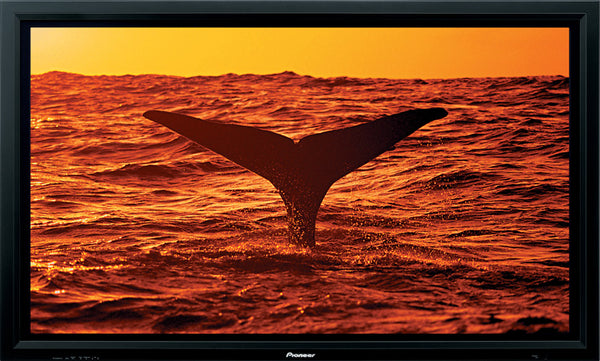 Pioneer PDP-607CMX 60'' Professional Plasma – OfficeWonderland
