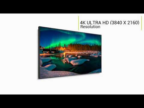NEC C751Q 75in. 4K LED Commercial Display