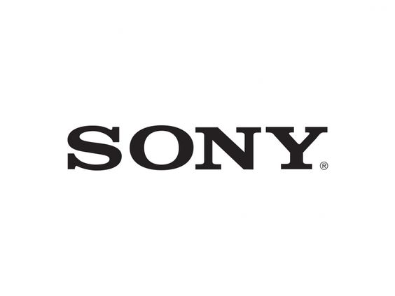 sony-eviod8t3-outdoor-pendant-mount-tinted-dome-ho