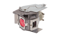 viewsonic-rlc-079-projector-lamp