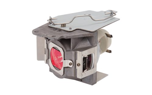 ViewSonic RLC-079 Projector Lamp
